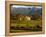 Estate and Vineyard, Napa Valley, California-John Alves-Framed Premier Image Canvas