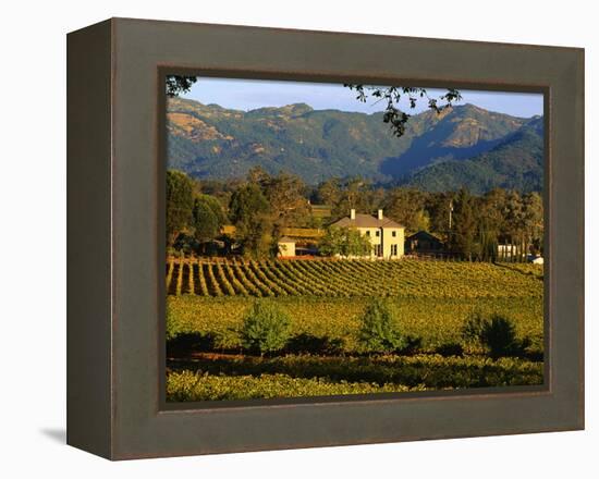 Estate and Vineyard, Napa Valley, California-John Alves-Framed Premier Image Canvas