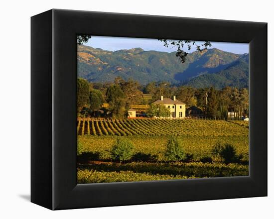 Estate and Vineyard, Napa Valley, California-John Alves-Framed Premier Image Canvas