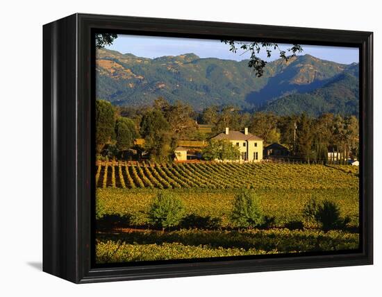 Estate and Vineyard, Napa Valley, California-John Alves-Framed Premier Image Canvas