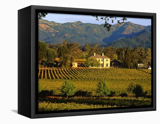 Estate and Vineyard, Napa Valley, California-John Alves-Framed Premier Image Canvas
