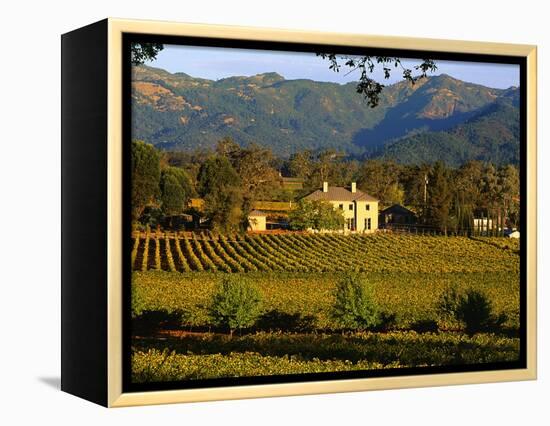 Estate and Vineyard, Napa Valley, California-John Alves-Framed Premier Image Canvas