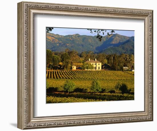 Estate and Vineyard, Napa Valley, California-John Alves-Framed Photographic Print