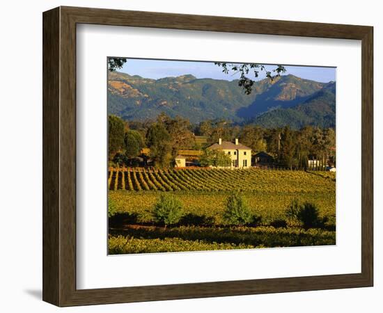 Estate and Vineyard, Napa Valley, California-John Alves-Framed Photographic Print