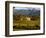 Estate and Vineyard, Napa Valley, California-John Alves-Framed Photographic Print