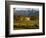 Estate and Vineyard, Napa Valley, California-John Alves-Framed Photographic Print