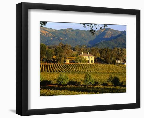 Estate and Vineyard, Napa Valley, California-John Alves-Framed Photographic Print