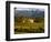 Estate and Vineyard, Napa Valley, California-John Alves-Framed Photographic Print