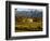 Estate and Vineyard, Napa Valley, California-John Alves-Framed Photographic Print