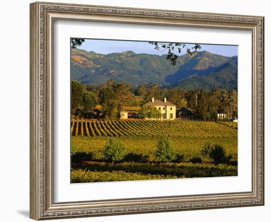 Estate and Vineyard, Napa Valley, California-John Alves-Framed Photographic Print