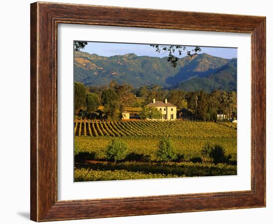 Estate and Vineyard, Napa Valley, California-John Alves-Framed Photographic Print