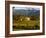 Estate and Vineyard, Napa Valley, California-John Alves-Framed Photographic Print