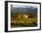 Estate and Vineyard, Napa Valley, California-John Alves-Framed Photographic Print