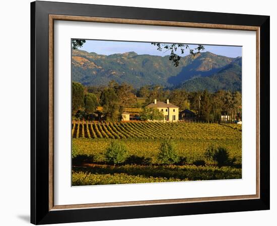 Estate and Vineyard, Napa Valley, California-John Alves-Framed Photographic Print