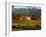 Estate and Vineyard, Napa Valley, California-John Alves-Framed Photographic Print