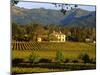 Estate and Vineyard, Napa Valley, California-John Alves-Mounted Photographic Print