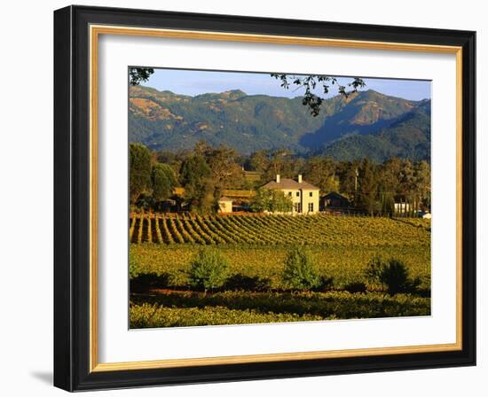 Estate and Vineyard, Napa Valley, California-John Alves-Framed Photographic Print