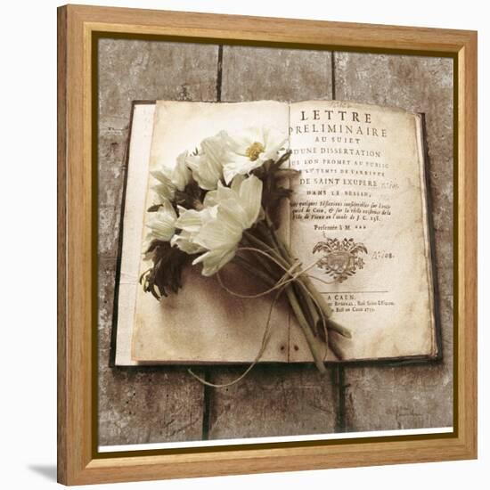 Estate Anemones-Cristin Atria-Framed Stretched Canvas