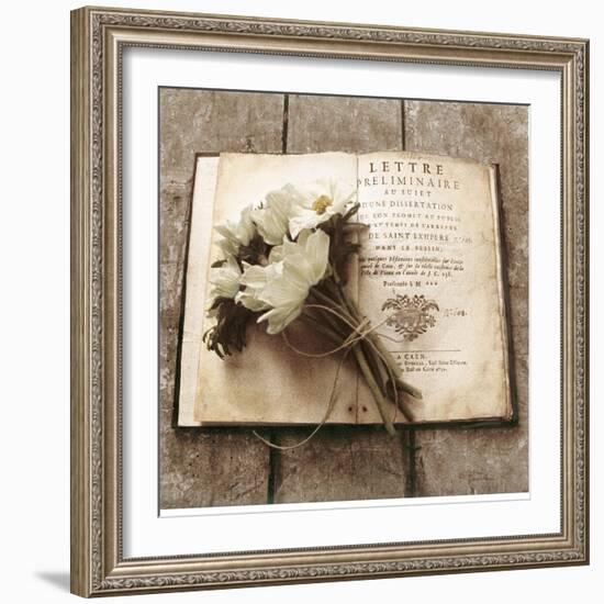 Estate Anemones-Cristin Atria-Framed Art Print