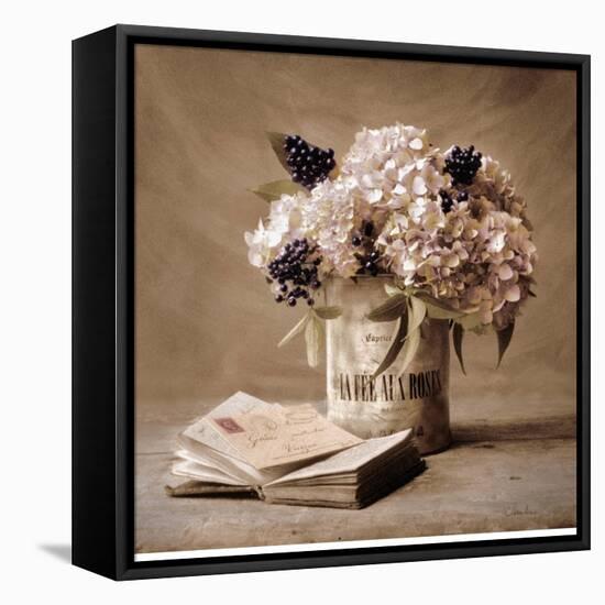 Estate Hydrangeas-Cristin Atria-Framed Stretched Canvas