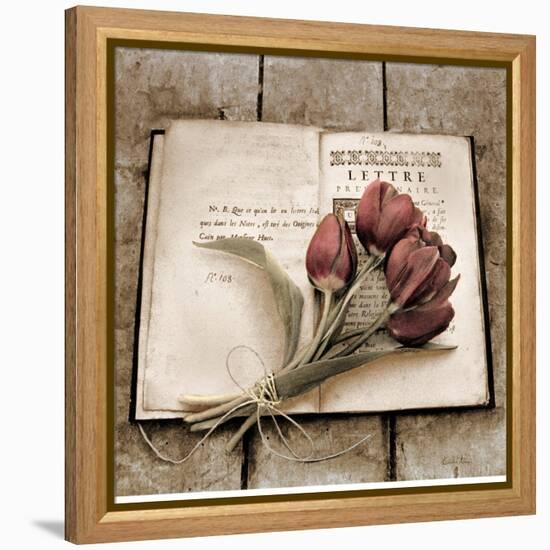 Estate Tulips-Cristin Atria-Framed Stretched Canvas