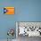 Estelada; Catalan Independence Flag-Juan Carlos B.-Art Print displayed on a wall