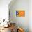 Estelada; Catalan Independence Flag-Juan Carlos B.-Mounted Art Print displayed on a wall