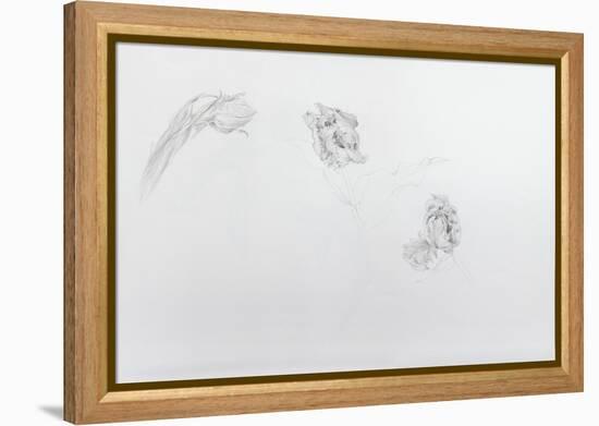 Estella rijnveld 1, 2013-Odile Kidd-Framed Premier Image Canvas