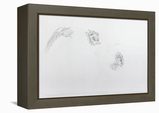 Estella rijnveld 1, 2013-Odile Kidd-Framed Premier Image Canvas