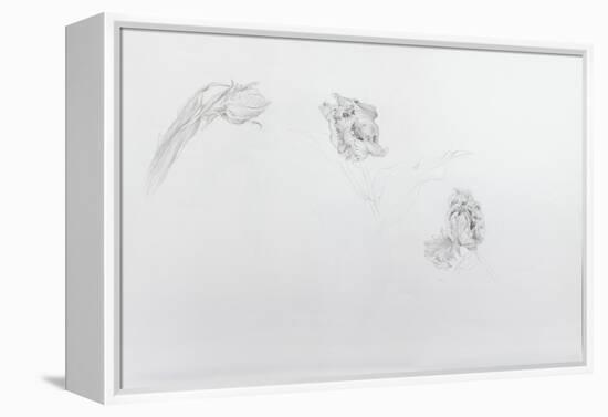 Estella rijnveld 1, 2013-Odile Kidd-Framed Premier Image Canvas