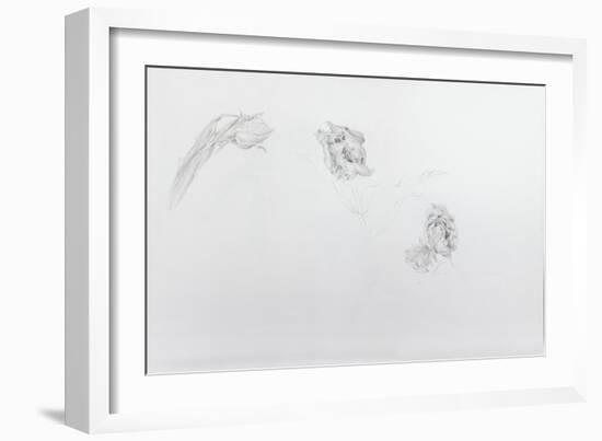 Estella rijnveld 1, 2013-Odile Kidd-Framed Giclee Print