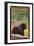 Estes Park, Colorado - Black Bear in Forest-Lantern Press-Framed Art Print