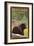 Estes Park, Colorado - Black Bear in Forest-Lantern Press-Framed Premium Giclee Print