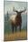 Estes Park, Colorado, Elk Scene-Lantern Press-Mounted Art Print