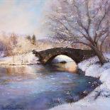 Central Park Bridge-Esther Engelman-Art Print