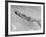 Esther Williams Swimming in Pool-Peter Stackpole-Framed Premium Photographic Print