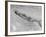 Esther Williams Swimming in Pool-Peter Stackpole-Framed Premium Photographic Print