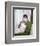 Esther Williams-null-Framed Photo