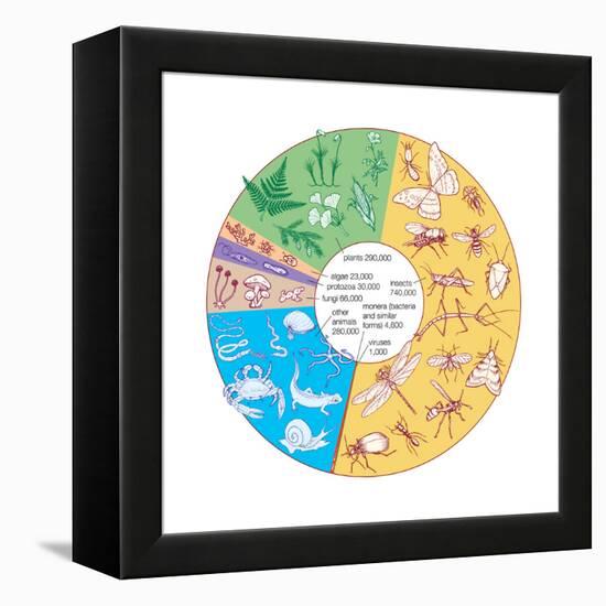 Estimated Number of known Living Species. Biosphere, Earth Sciences-Encyclopaedia Britannica-Framed Stretched Canvas