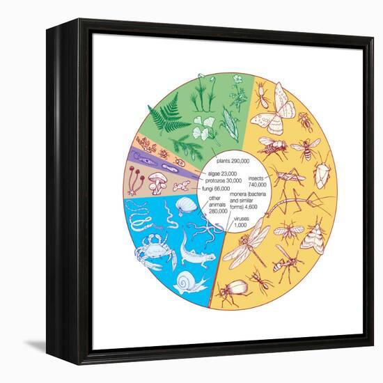 Estimated Number of known Living Species. Biosphere, Earth Sciences-Encyclopaedia Britannica-Framed Stretched Canvas