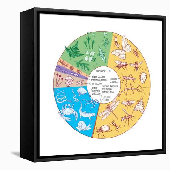 Estimated Number of known Living Species. Biosphere, Earth Sciences-Encyclopaedia Britannica-Framed Stretched Canvas