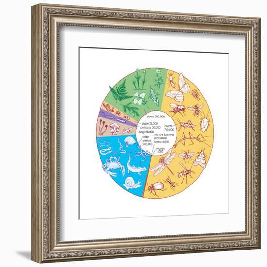 Estimated Number of known Living Species. Biosphere, Earth Sciences-Encyclopaedia Britannica-Framed Art Print