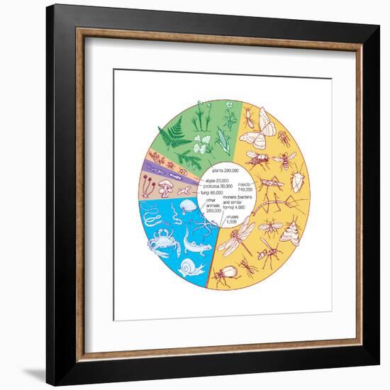 Estimated Number of known Living Species. Biosphere, Earth Sciences-Encyclopaedia Britannica-Framed Art Print