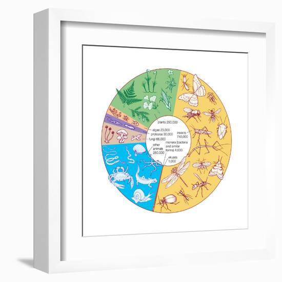 Estimated Number of known Living Species. Biosphere, Earth Sciences-Encyclopaedia Britannica-Framed Art Print