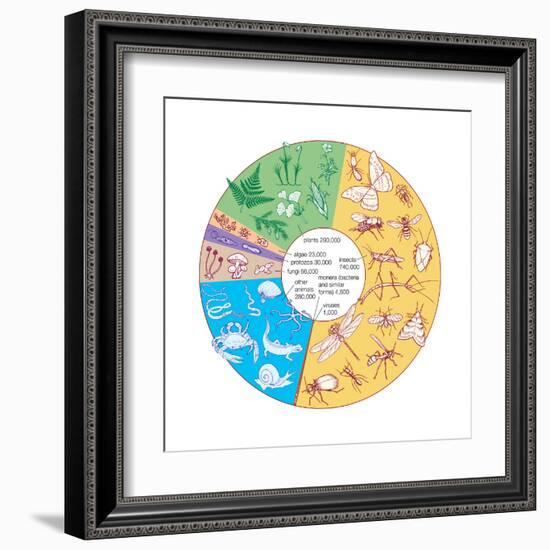 Estimated Number of known Living Species. Biosphere, Earth Sciences-Encyclopaedia Britannica-Framed Art Print