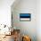 Estonia Flag Design with Wood Patterning - Flags of the World Series-Philippe Hugonnard-Framed Stretched Canvas displayed on a wall