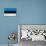 Estonia Flag Design with Wood Patterning - Flags of the World Series-Philippe Hugonnard-Art Print displayed on a wall