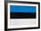 Estonia Flag Design with Wood Patterning - Flags of the World Series-Philippe Hugonnard-Framed Art Print