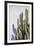 Estremoz-Alan Copson-Framed Giclee Print