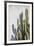 Estremoz-Alan Copson-Framed Giclee Print